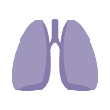 Tuberculosis