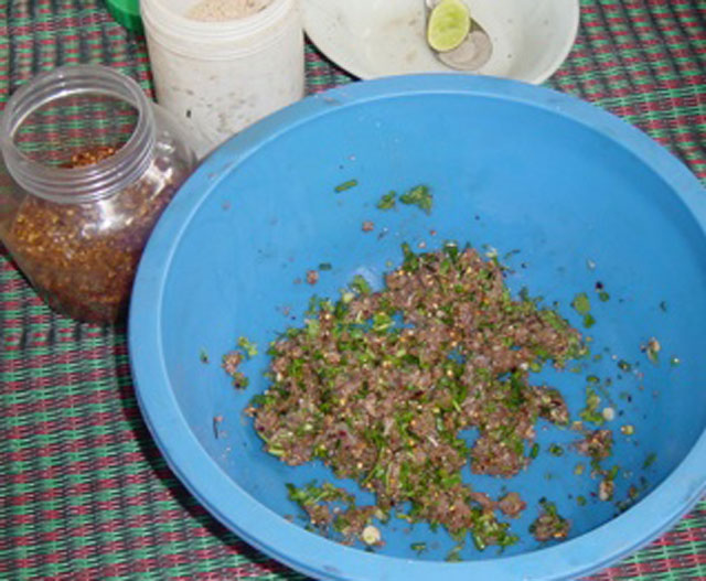 Foodborne trematode infections