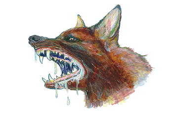 Rabies
