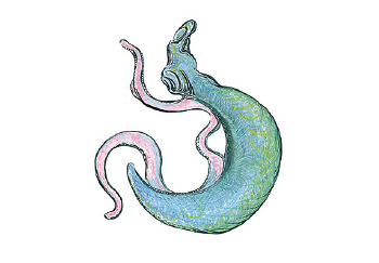 Schistosomiasis