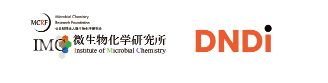 2013 NTDに対する化合物探索プログラム ¥755,800